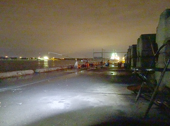 a0155319_13381441.jpg
