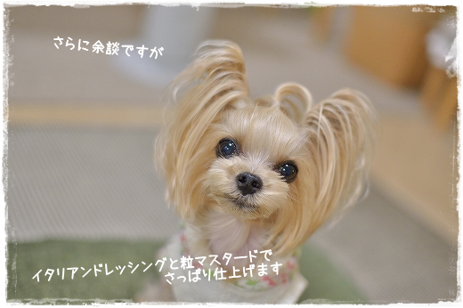 d0179828_07423935.png