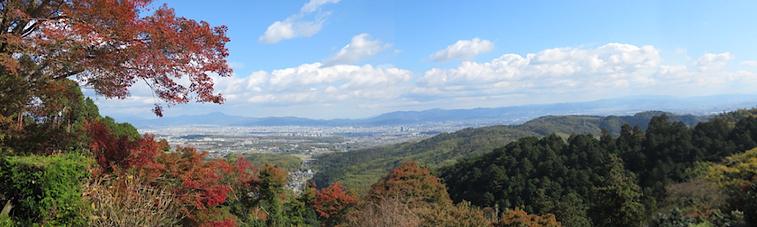 d0352628_16462569.jpg