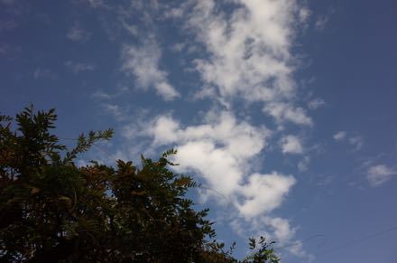 f0132230_01092131.jpg