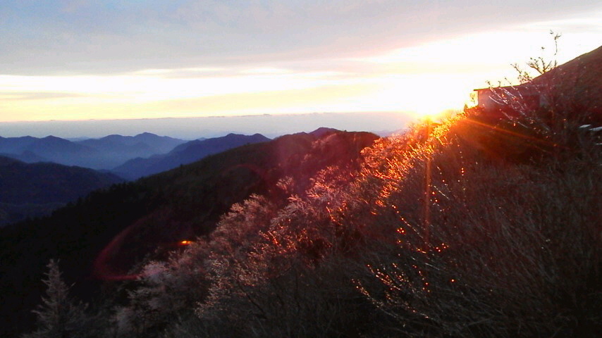 c0089831_7395594.jpg