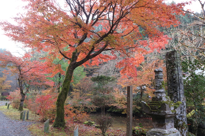 普現寺＆宝生寺の紅葉見学＆鏡山トレッキング！_e0272335_17281292.jpg