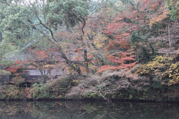 普現寺＆宝生寺の紅葉見学＆鏡山トレッキング！_e0272335_1731431.jpg