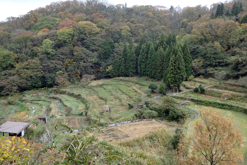 奈良街道 暗峠_c0218841_21474122.jpg