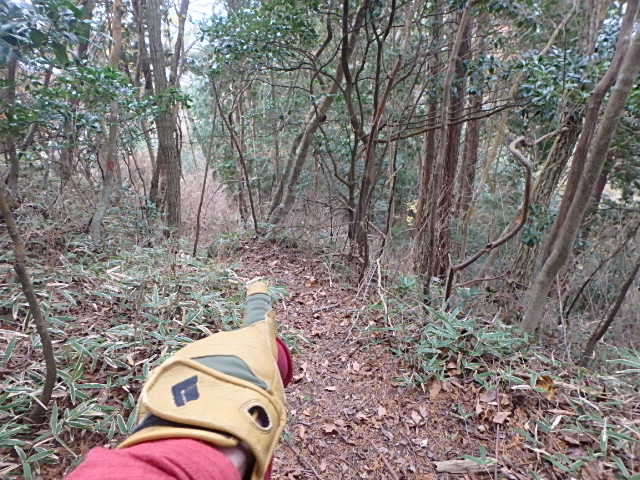 f0334143_7422010.jpg