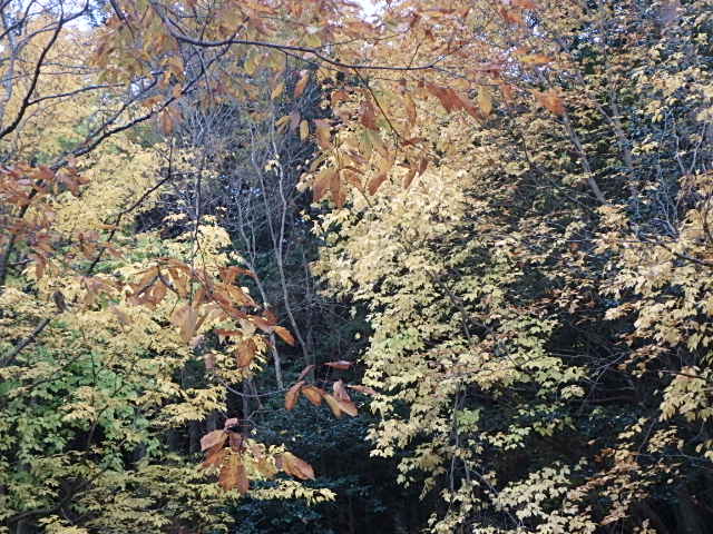 f0334143_7435261.jpg
