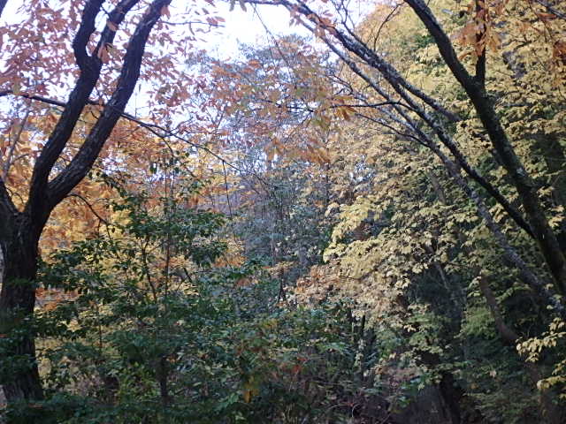 f0334143_744054.jpg