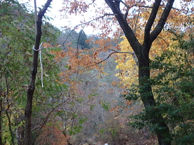 f0334143_7441232.jpg