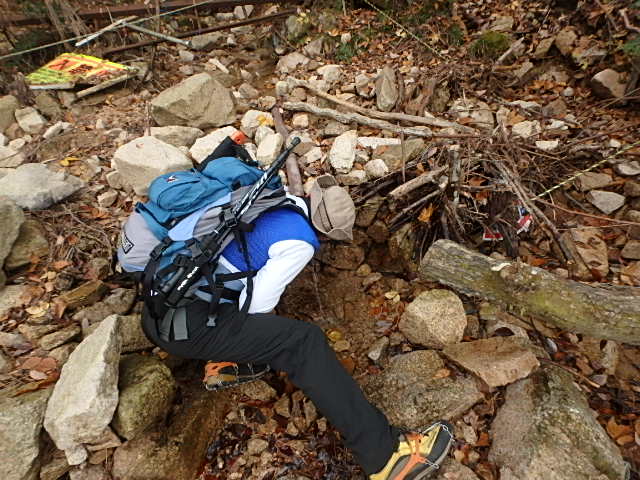 f0334143_7474219.jpg
