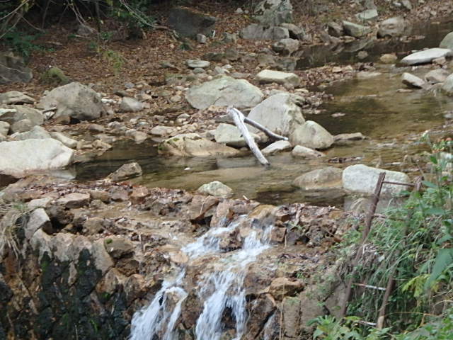f0334143_871657.jpg