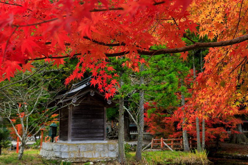 極彩色の龍泉寺（天川村）_f0155048_2303393.jpg
