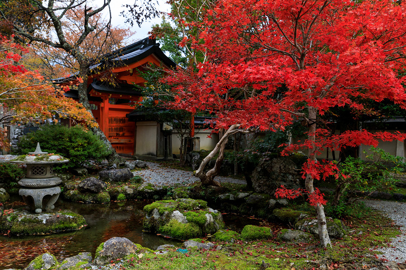 極彩色の龍泉寺（天川村）_f0155048_2313575.jpg