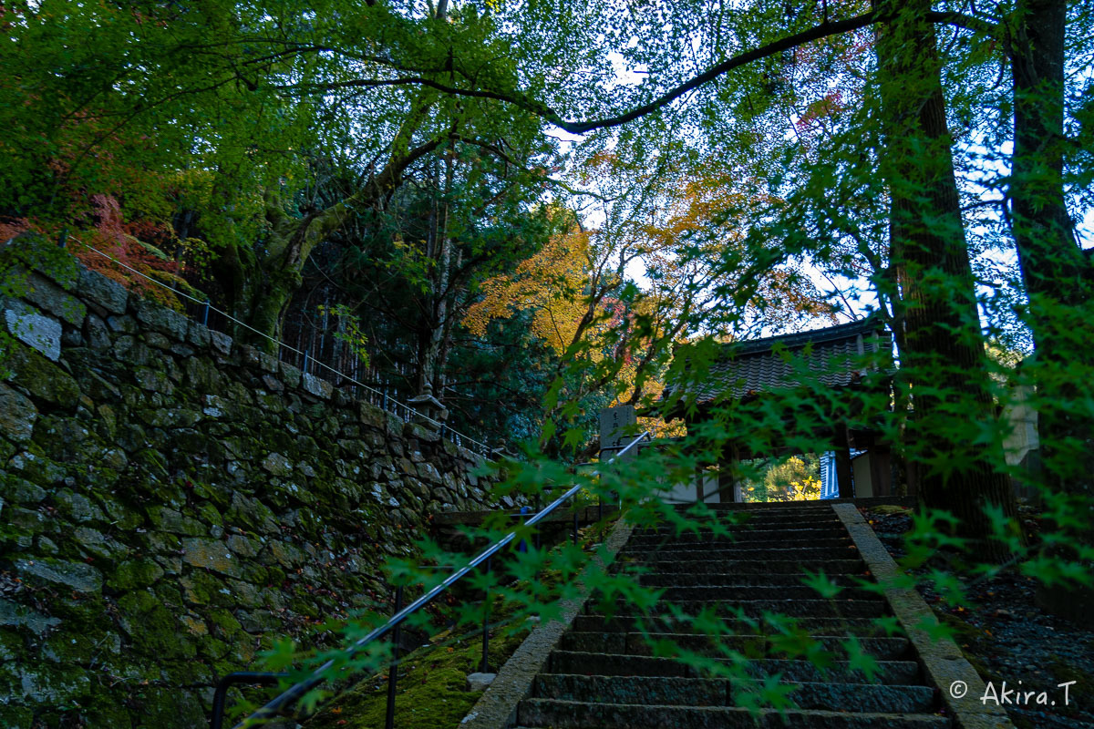 f0152550_21351793.jpg