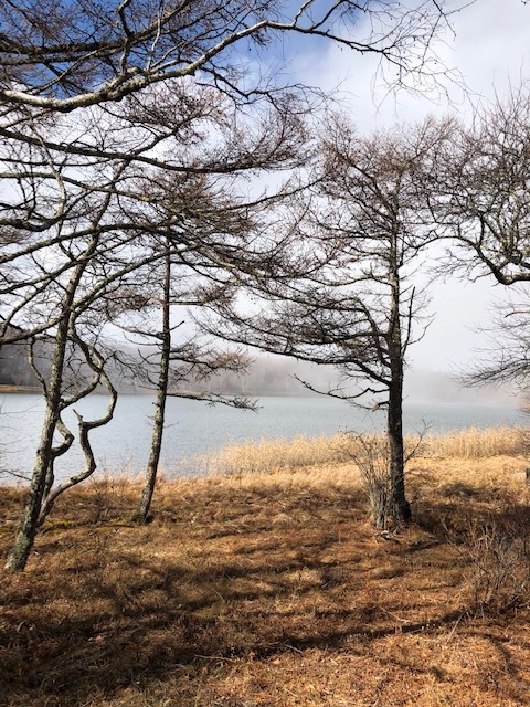 蓼科の紅葉_a0108356_11245798.jpg
