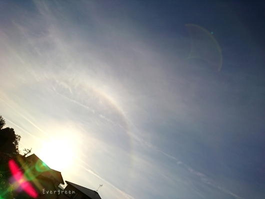 d0362666_17484470.jpg