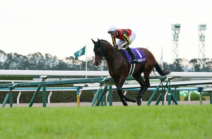 第35回マイルチャンピオンシップ 今年も3歳馬ステルヴィオが優勝 またも外国人騎手だぎゃあ Turfに魅せられて 写真紀行