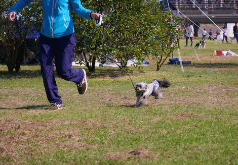 b0358575_18545888.gif