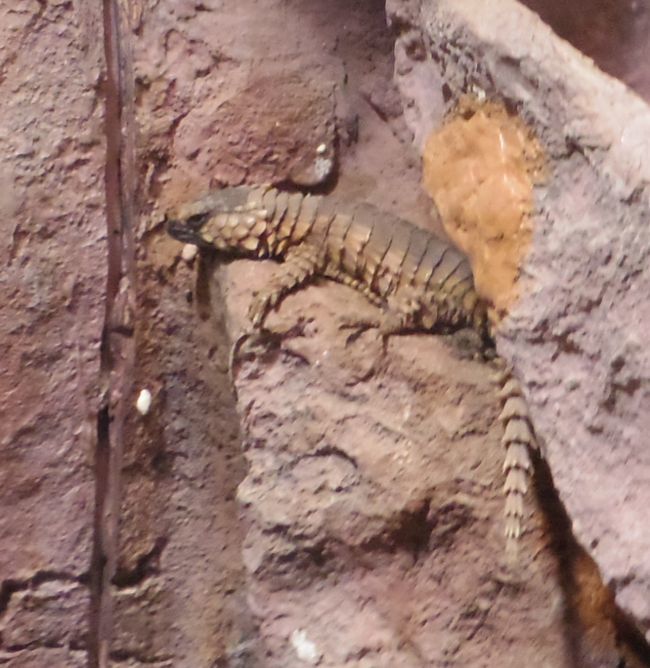 b0014576_23383089.jpg