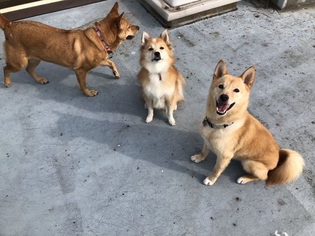 b0377882_16505967.jpeg
