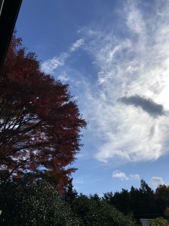 2018年11月21日  さて_b0098584_16204513.jpeg
