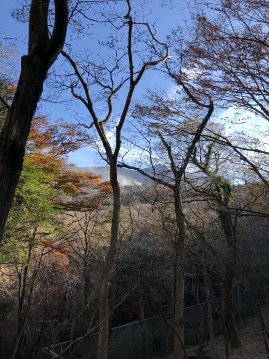 2018年11月21日  さて_b0098584_16211115.jpeg