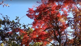 f0017185_09590253.jpg