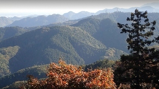 f0017185_10003452.jpg