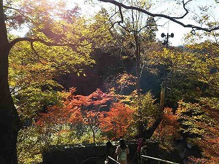 f0017185_10020952.jpg