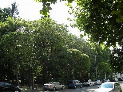 西16丁目界隈_f0078286_09450110.jpg