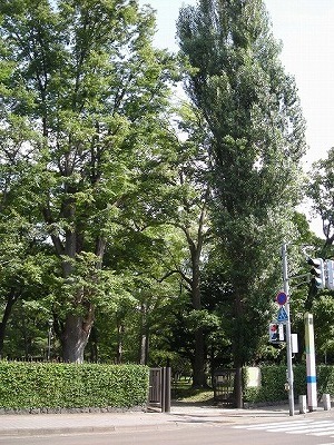 西16丁目界隈_f0078286_09470802.jpg