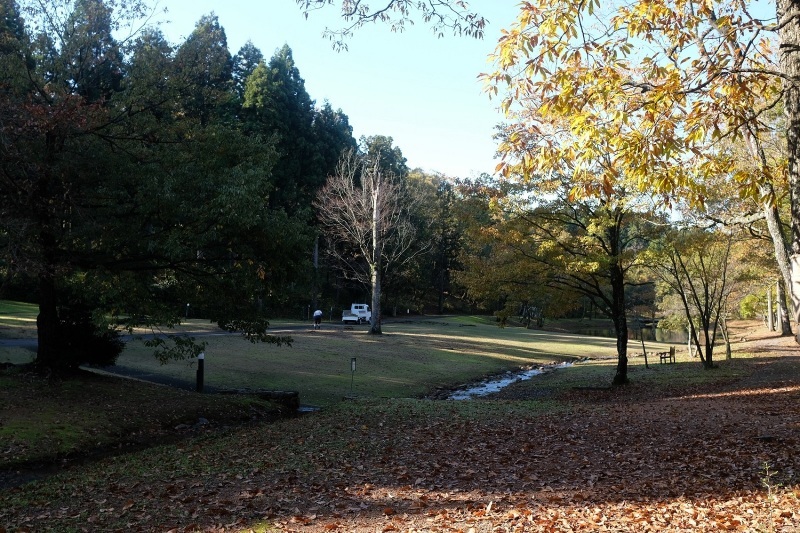 d0234293_08094559.jpg