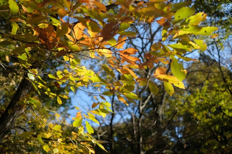 d0234293_08124276.jpg