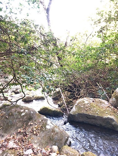 f0056297_12443121.jpeg