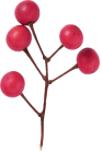 f0056297_16051827.png