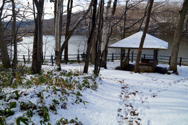 a0345007_175655.jpg