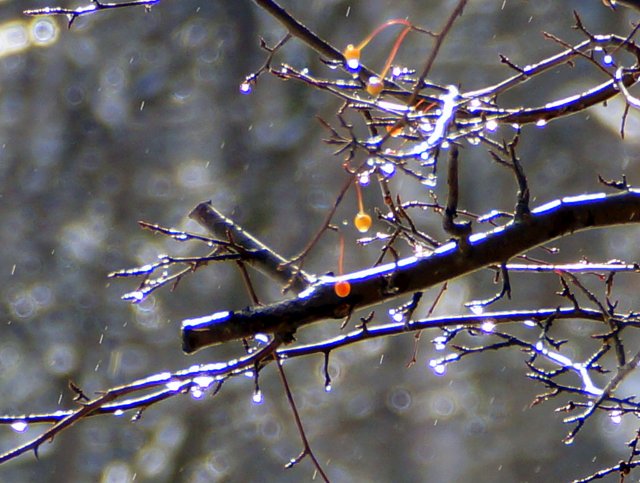 a0345007_17891.jpg
