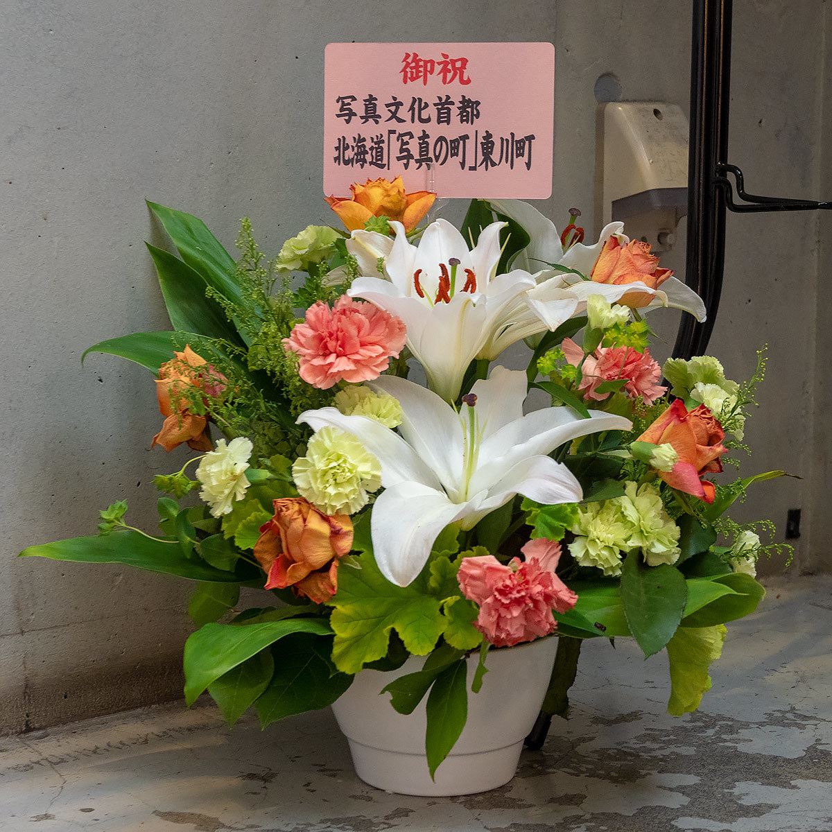 舌出し天使 11月22日(木) 6576_b0069507_17245038.jpg