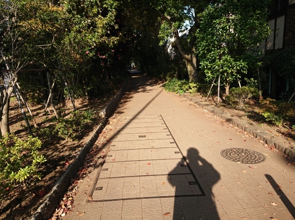11/21 国鉄武蔵野競技場線廃線跡を歩く@三鷹市、武蔵野市_b0042308_12461888.jpg