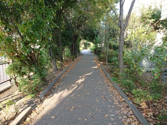 11/21 国鉄武蔵野競技場線廃線跡を歩く@三鷹市、武蔵野市_b0042308_12471731.jpg