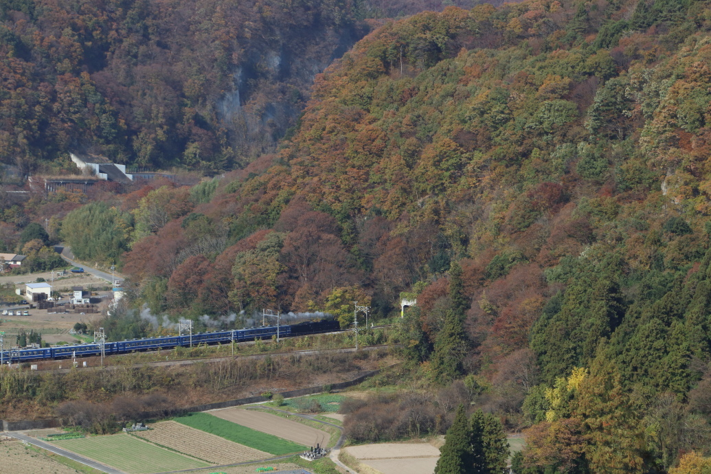 赤い山へ青い客車が入っていく　- 上越線・2018年紅葉 -_b0190710_21190046.jpg