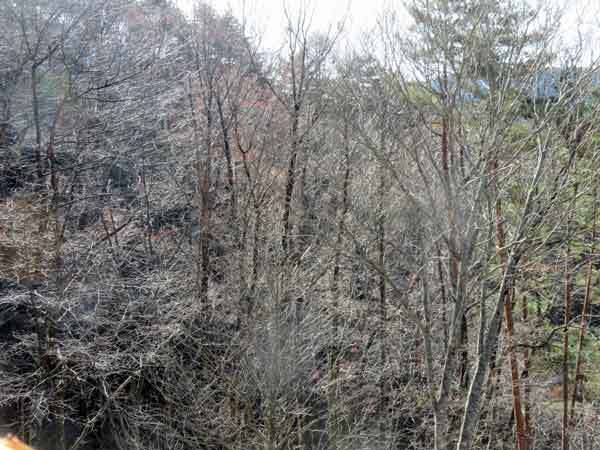 e0001110_08241734.jpg