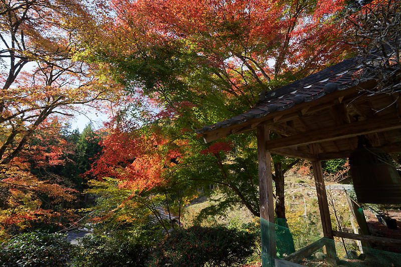 2018京都の紅葉・小野郷 新規開拓地_f0032011_20062138.jpg