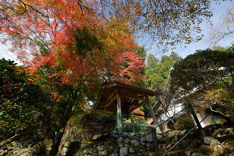 2018京都の紅葉・小野郷 新規開拓地_f0032011_20062182.jpg