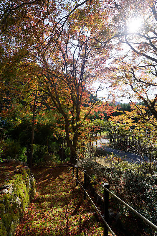 2018京都の紅葉・小野郷 新規開拓地_f0032011_20062189.jpg