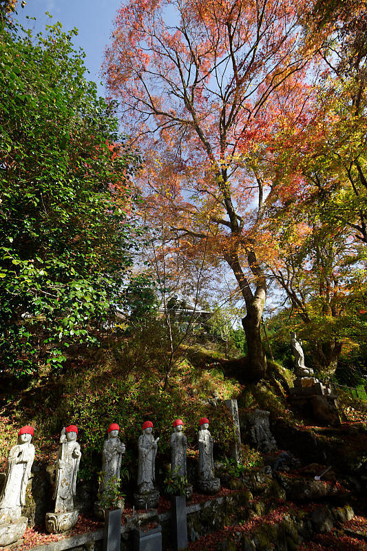 2018京都の紅葉・小野郷 新規開拓地_f0032011_20062238.jpg