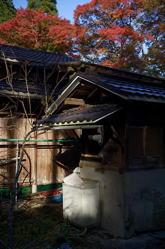 2018京都の紅葉・小野郷 新規開拓地_f0032011_20121282.jpg