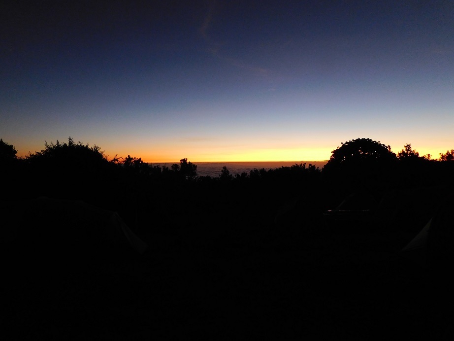 d0006512_15161501.jpg