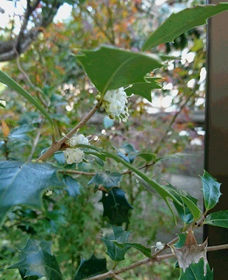 f0371014_04033456.jpg