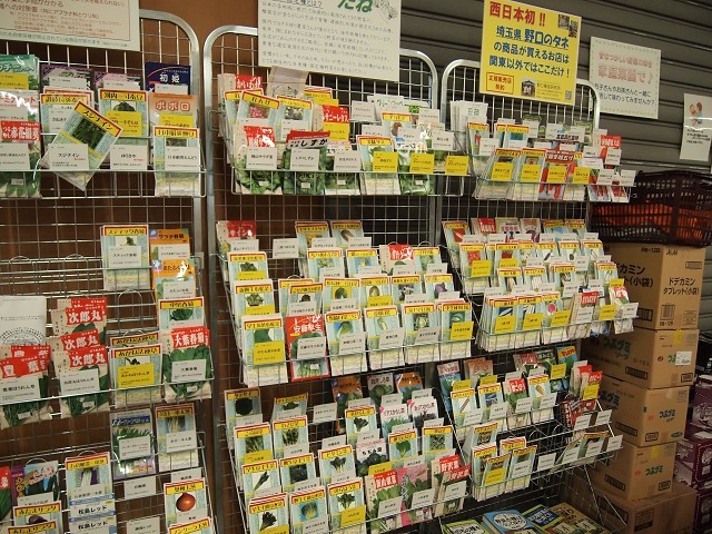 「日本一のだがし売り場 大町」_d0295818_18103615.jpg