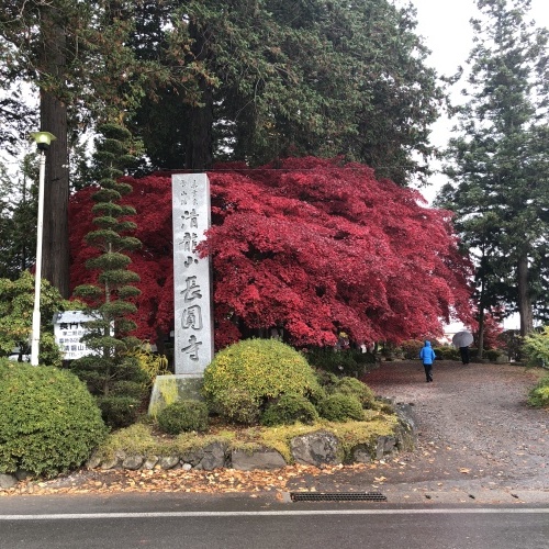 e0049318_08375926.jpg